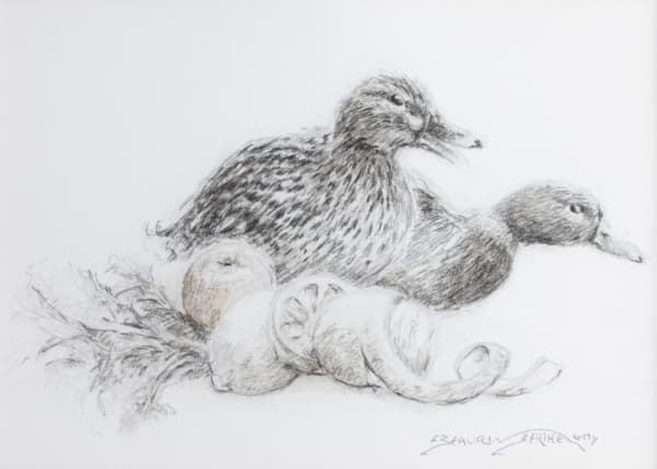 François Beaurin-Berthélemy, Du gabion, le colvert au citron