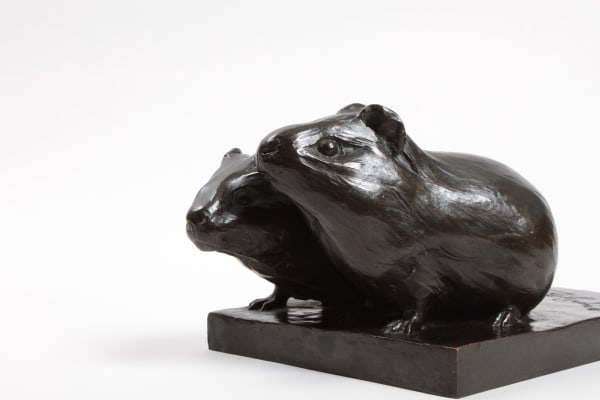 Martin Meyer-Pyritz - Cobayes, circa 1930