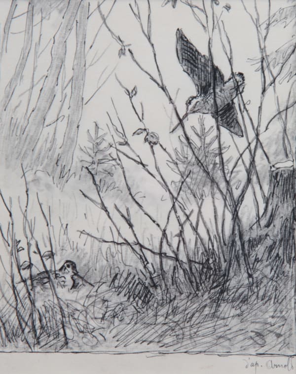 Georges Frédéric Rötig, Etude de bécasses (d'après Arnold)