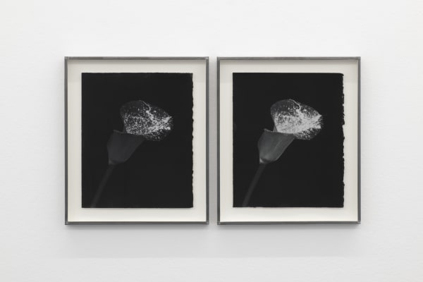 CAROLINE CORBASSON, Tracks II, 2020