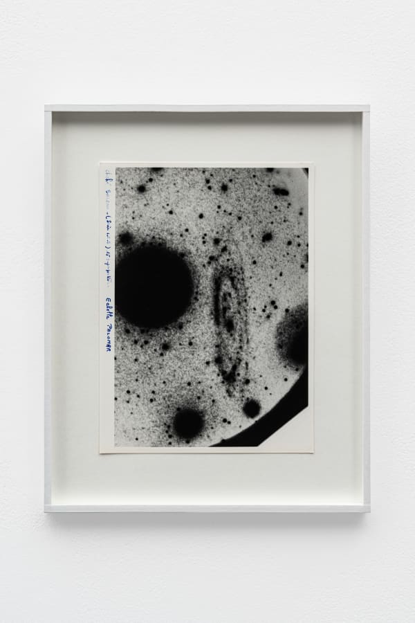 CAROLINE CORBASSON, Distance II, 2020