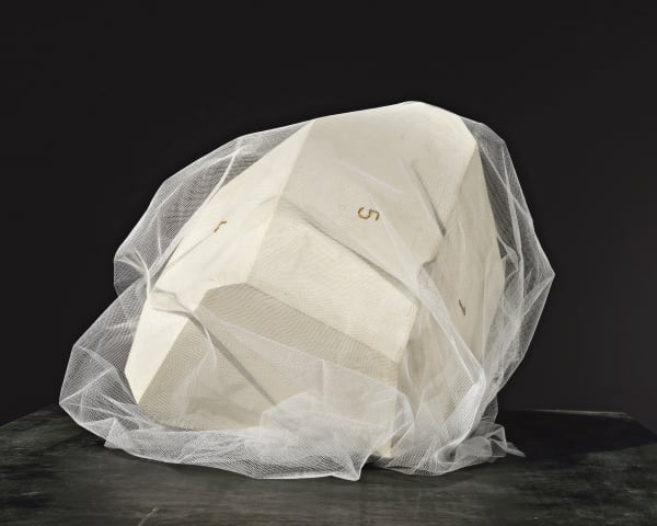 DIDIER VERMEIREN, Etude pour la Pierre au voile #1, 2015