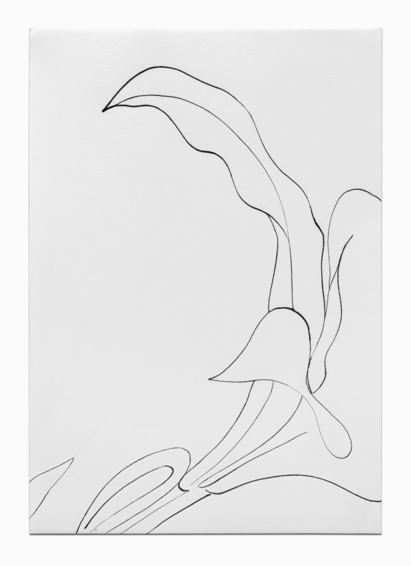 CAROLINE CORBASSON, Esquisses , 2020