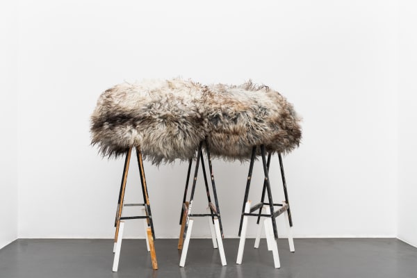 Les Frères Chapuisat , Cellule dormante, 2008