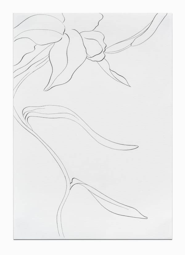 CAROLINE CORBASSON, Esquisses , 2020