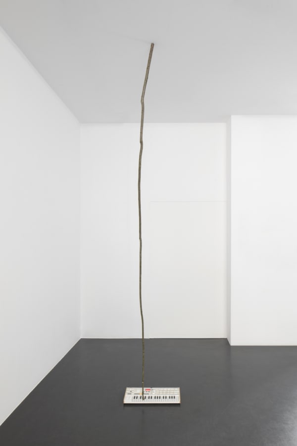 Stéphane Thidet, Là, 2020