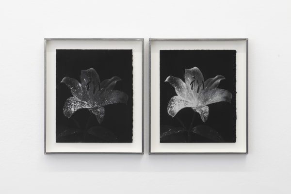 CAROLINE CORBASSON, Tracks I, 2020