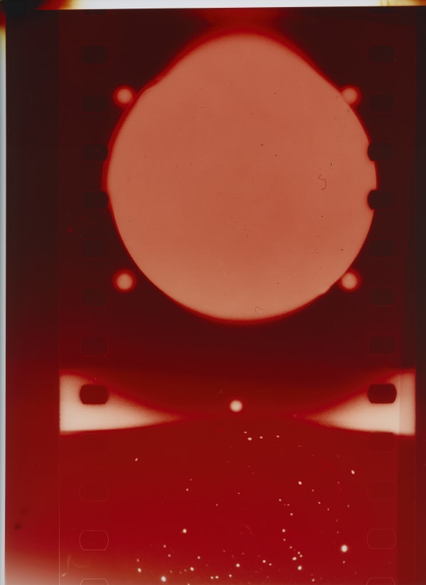 CAROLINE CORBASSON, Pollen, 2020