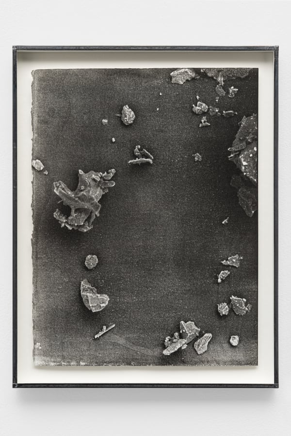 CAROLINE CORBASSON, Fields, 2017