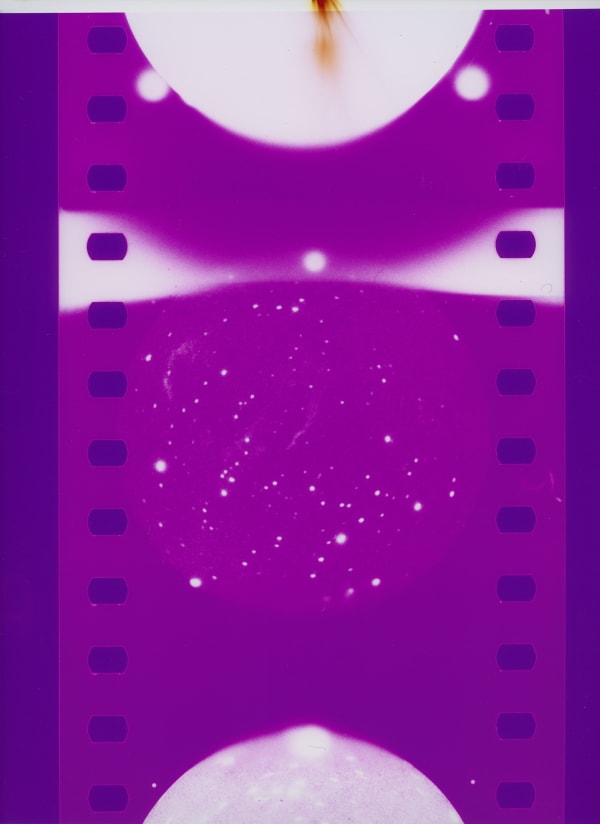 CAROLINE CORBASSON, Pollen, 2020