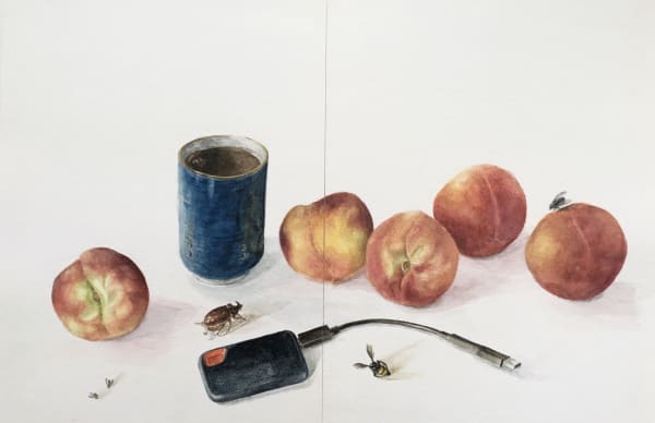 Marie Bovo, 18 juillet 2020 (Un café oublié, des pêches, un disque SSD et des insectes), 2020