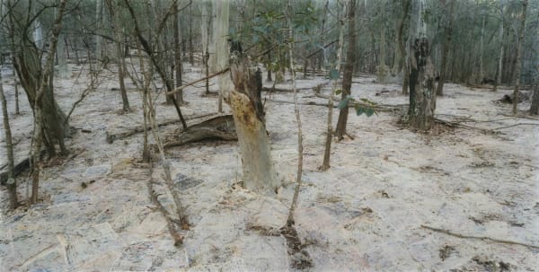 The Paper, Wednesday, 2014