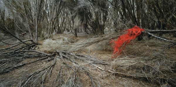 Rosemary Laing, weather (Eden) #1, 2006
