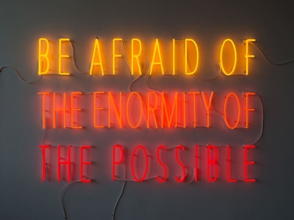 Alfredo Jaar, Be Afraid of the Enormity of the Possible, 2015