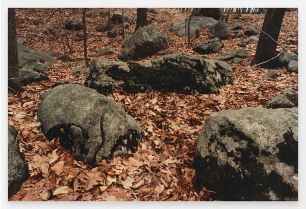 Ana Mendieta, Untitled: Silueta Series, 1979