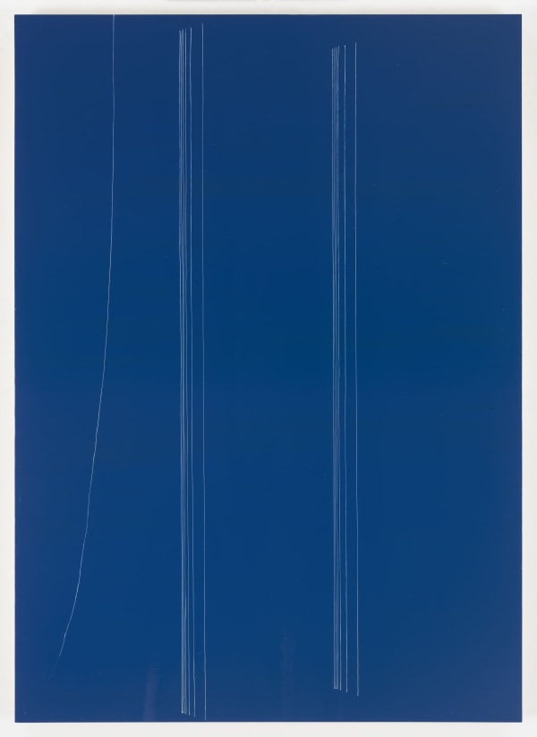 Kate Shepherd, dark bic, colonnade, thread in wind, 2016