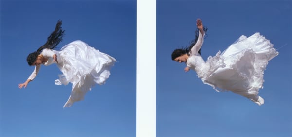 Rosemary Laing, flight research # 2, 1999