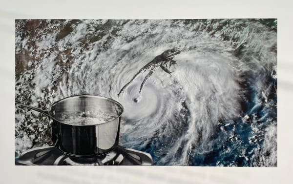 Martha Rosler, TBC (Frog vinyl)