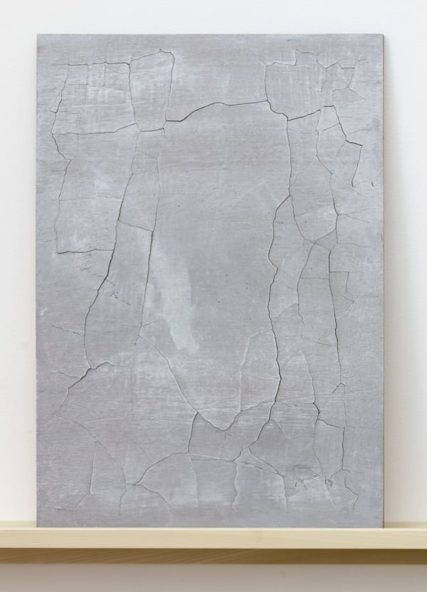 Kate Shepherd, Central Park, 0975, 2012