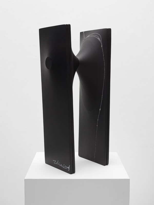 Sin título, c. 1995 / 2020