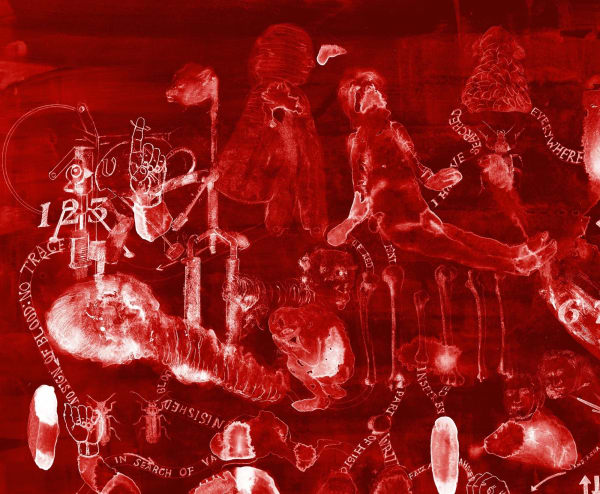 Nalini Malani, In Search of Vanished Blood, 2012