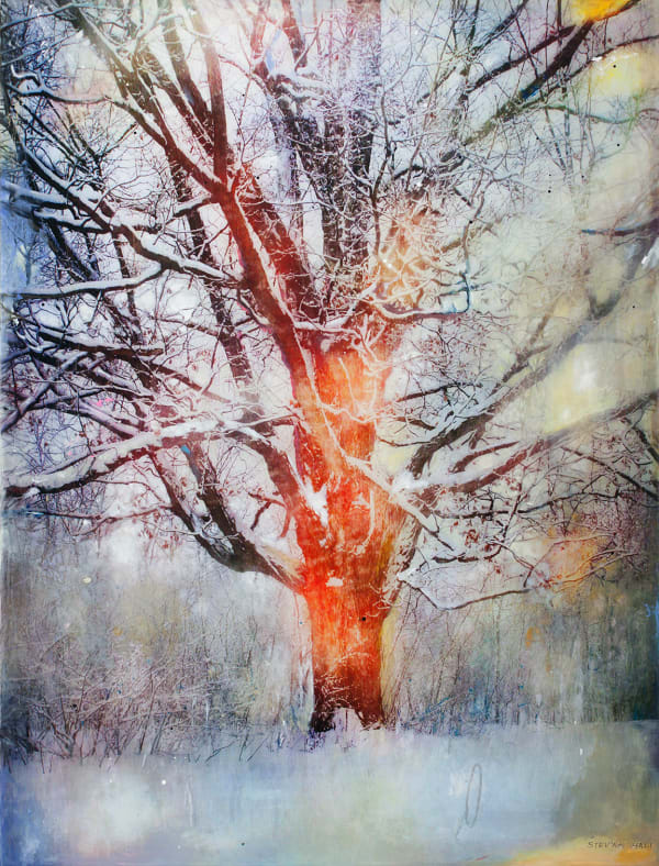 Stev'nn Hall, Winter Tree API, 2018