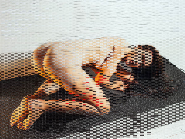 Martin Rondeau, 51ème Confession, 2015