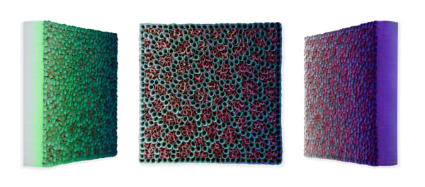 Zhuang Hong Yi, Coral Gardens, 2024