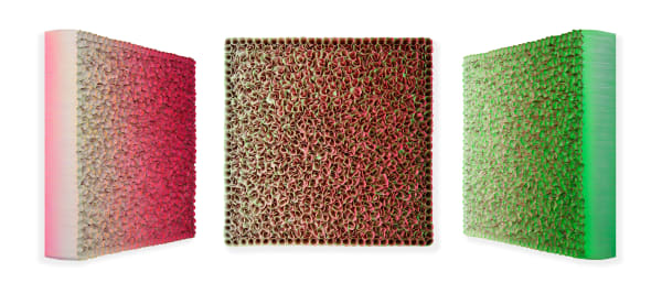 Zhuang Hong-Yi, Bloom After Rain, 2025