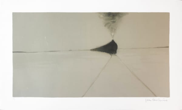 La Petite Poule d'Eau