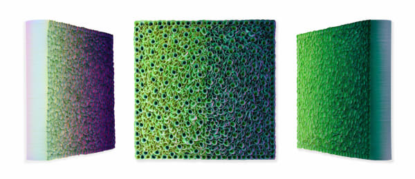 Zhuang Hong-Yi, Waving Violet, 2024