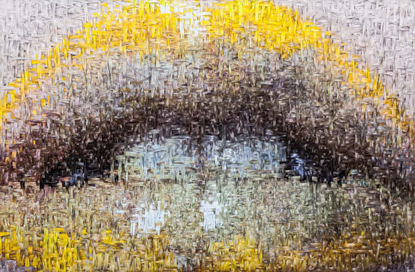 Martin Rondeau, Topaze, 2018