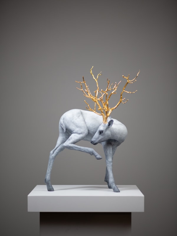 Coderch & Malavia, Forest Guardian, 2024