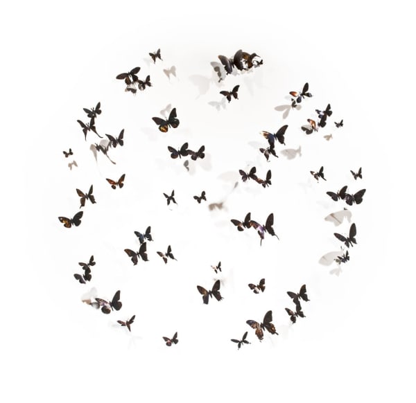 Paul Villinski, Compass, 2016