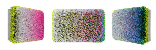 Zhuang Hong-Yi, Early Spring, 2023