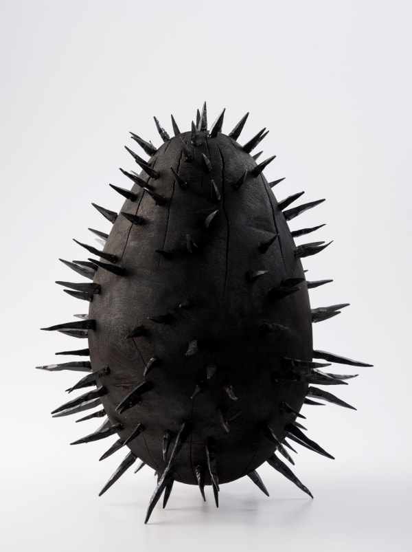 Yann Normand, Ad Astra Per Aspera, 2017