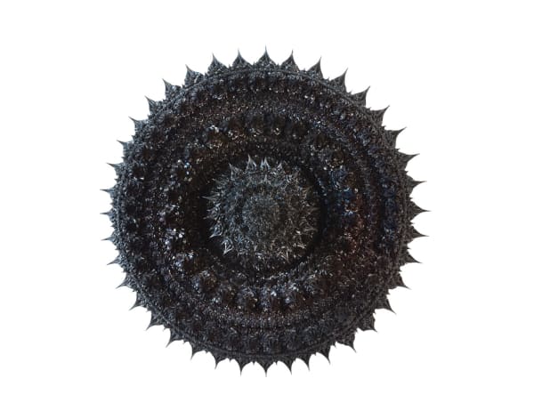 Anke Eilergerhard, Supercrown, 2016