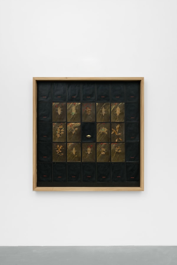 Anne et Patrick Poirier, Le jardin noir Domus Aurea, 1975