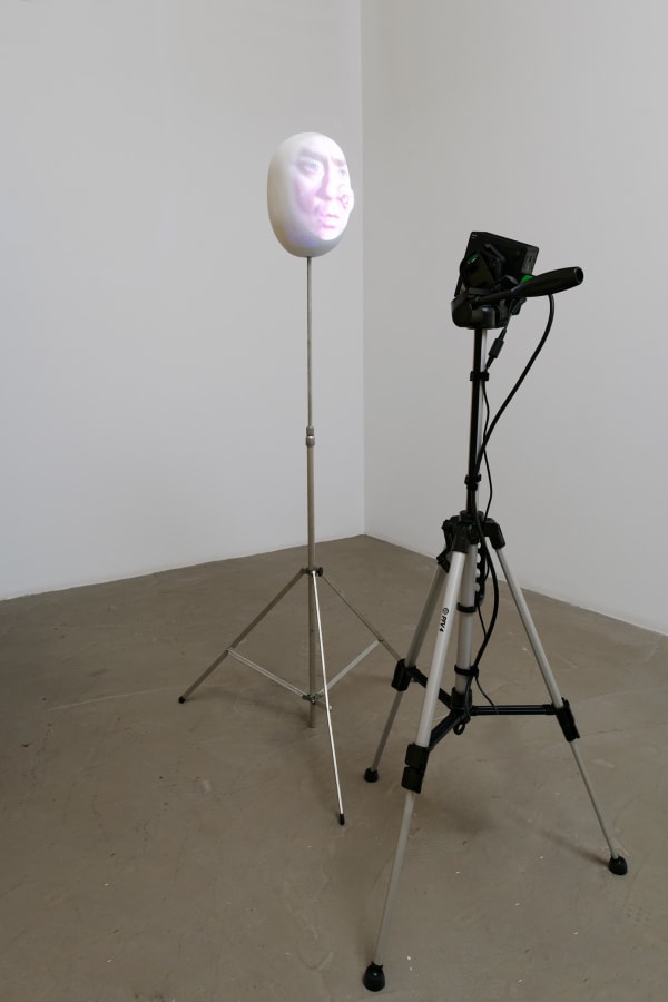 Tony Oursler, It Never Happened, 1998
