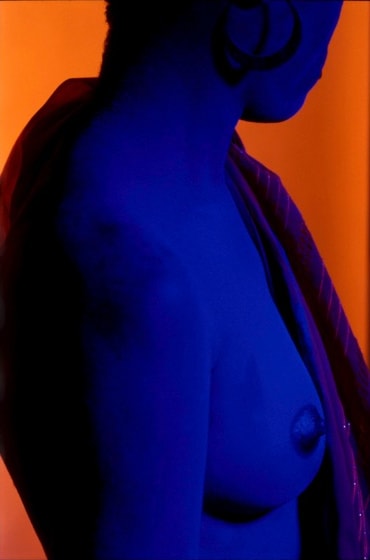 Marc Lee STEED, Orange, 2013
