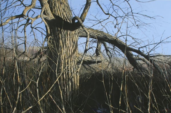 Helge Hommes, The day that never came, 2010