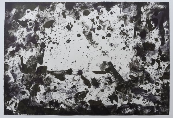 Sam Francis, Untitled, from the Vegetabe Series (SF-112D), 1971