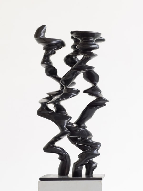 Tony Cragg, Point of View, 2019