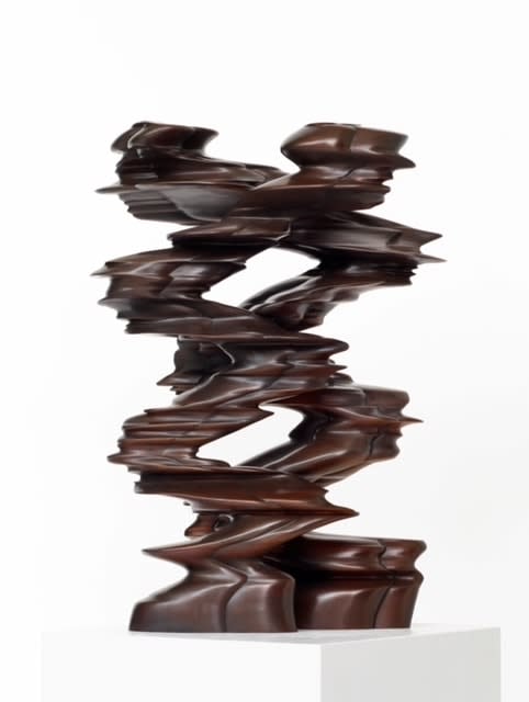 Tony Cragg, Runner, 2017