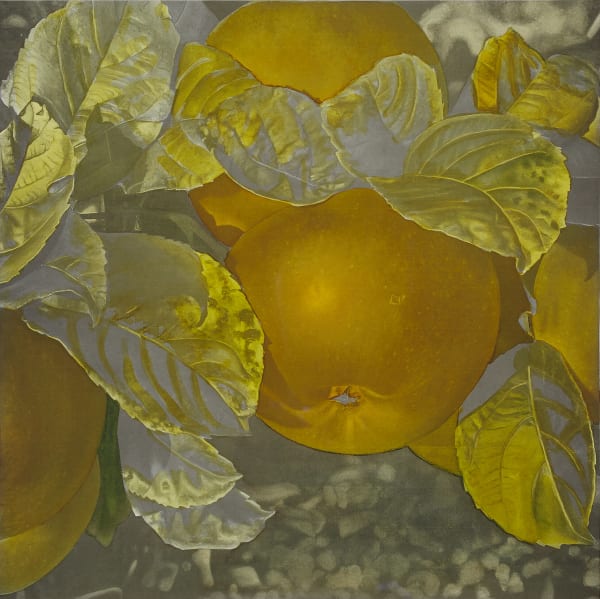 KARIN KNEFFEL Untitled, 1996 Watercolor on offset print on machine-made paper 49,5 x 49,5 cm 19 1/4 x 19 1/4 in