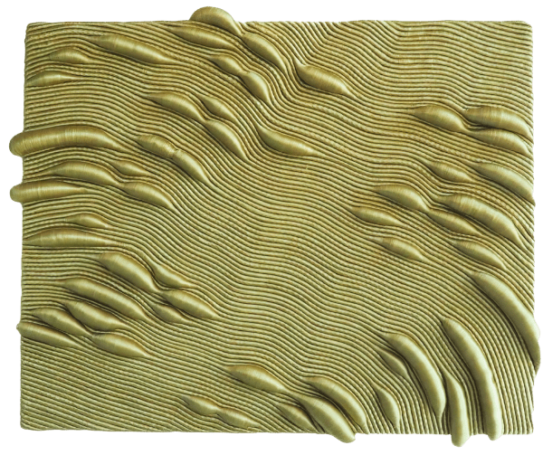 Joana Schneider, Untitled