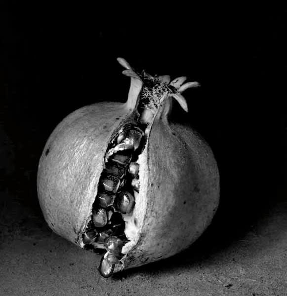 Flor Garduño, Con corona, México, 2000