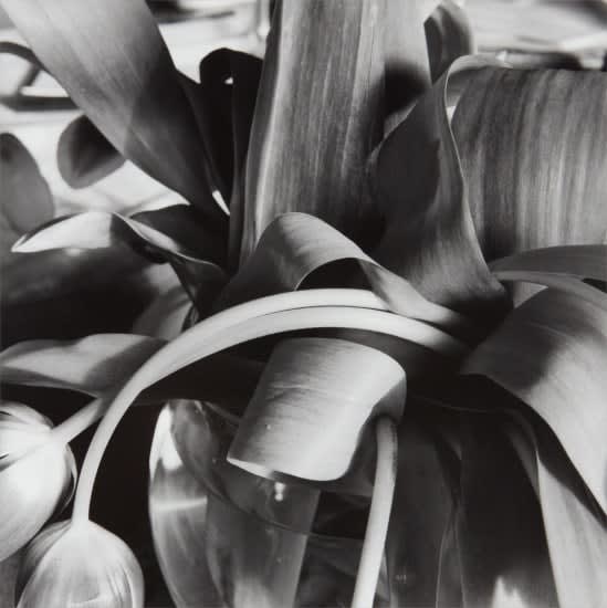 Lee Friedlander, New City, New York, 1994