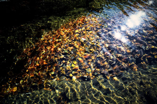 Yasuhiro Ogawa, Clear Water, 2015