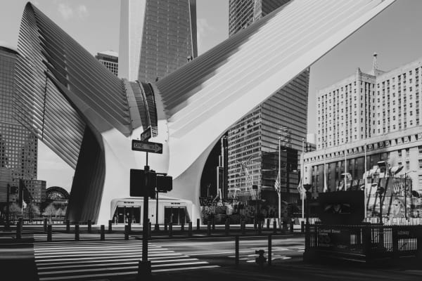 Stephanie Pfriender Stylander, Untitled 14, New York City Lockdown, 2020